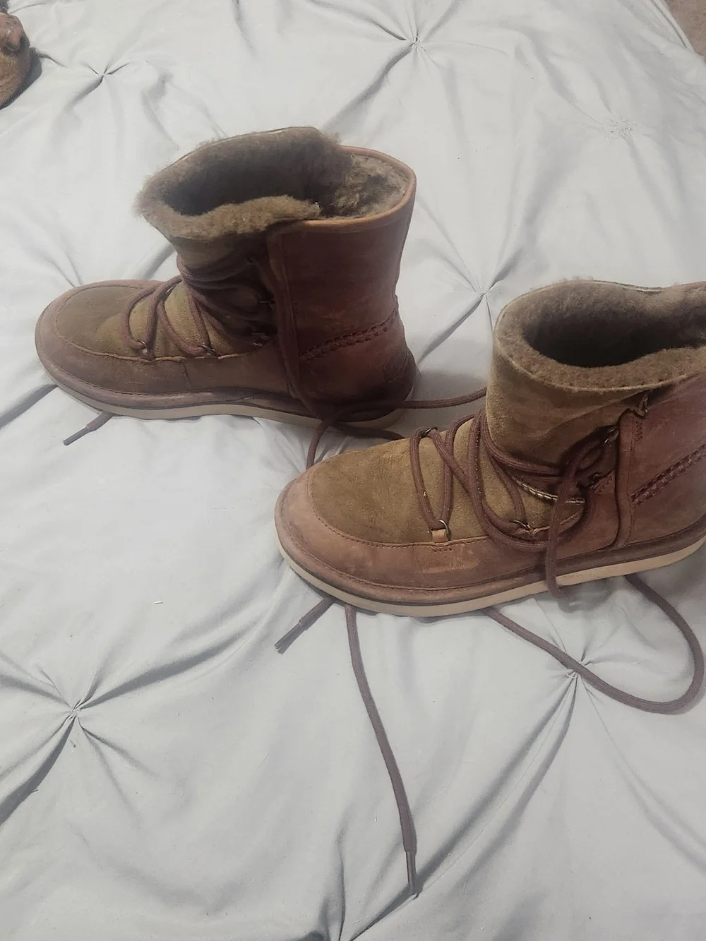 Ugg Women's Brown Suede Winter Boot with  Fur Lining